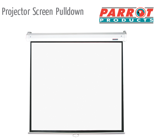 projector screen pull down